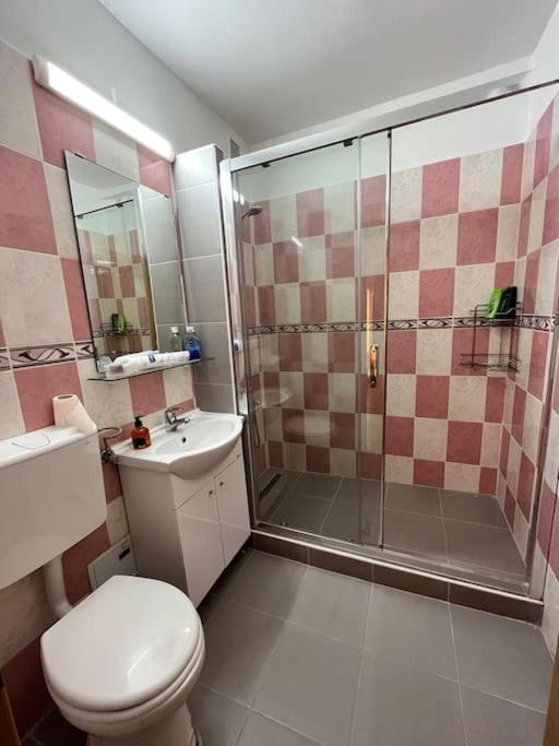 טימישוארה Joy City Stay Victoriei 7G-23 מראה חיצוני תמונה